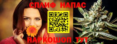 сатива Нальчик