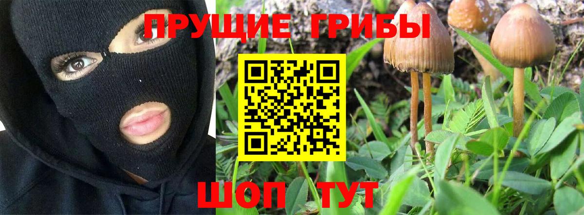 Галлюциногенные грибы GOLDEN TEACHER Заринск