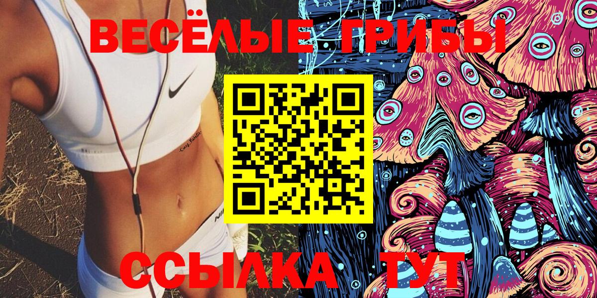 Заринск  Псилоцибиновые грибы прущие грибы  что такое   Вход с VPN  Галлюциногенные грибы ЛСД 