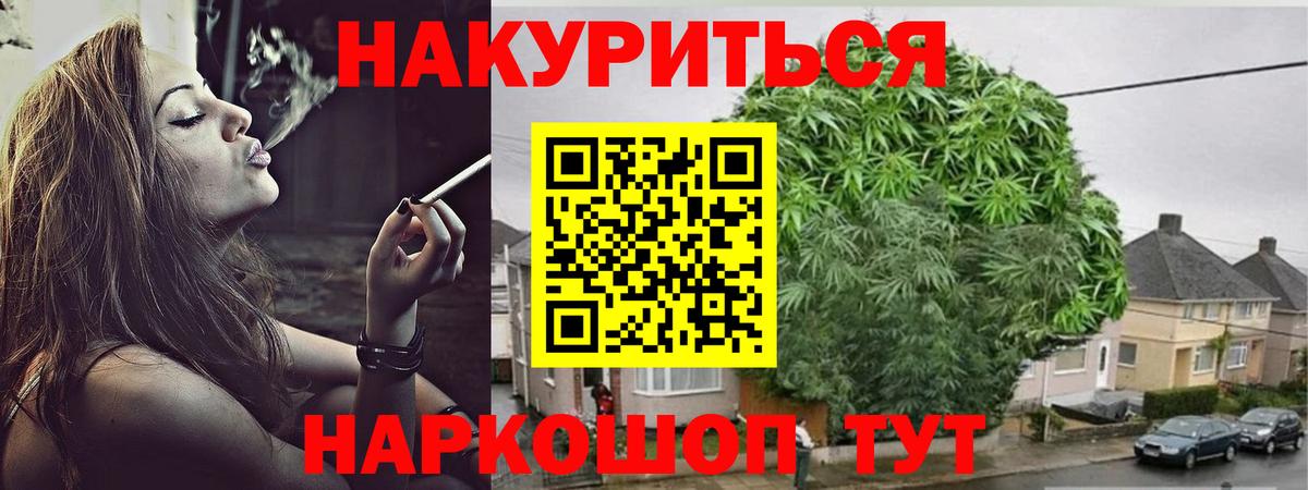 Конопля планчик  Конопля семена  Заринск  Вход с VPN 